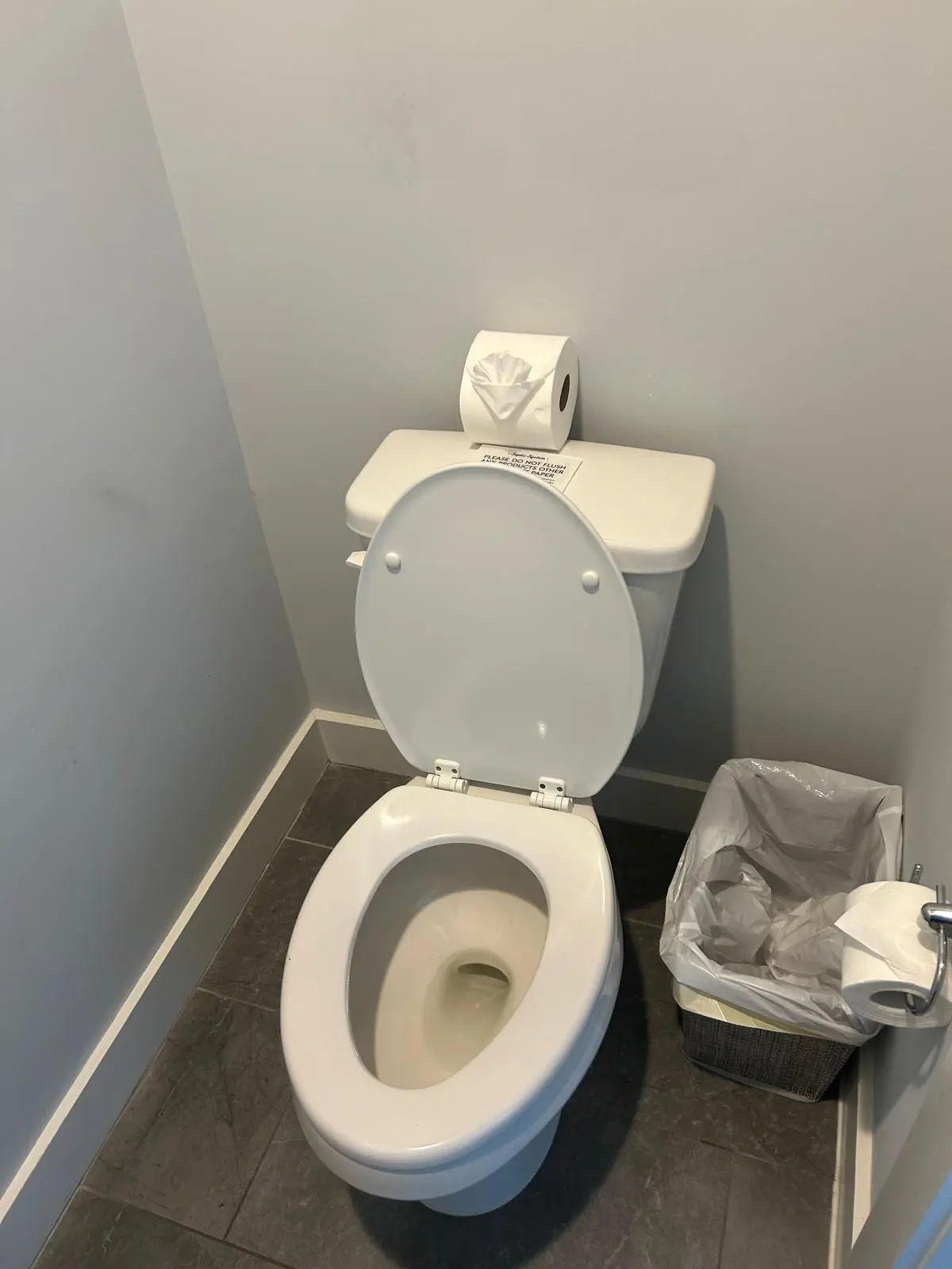 Professional cleaning team at work